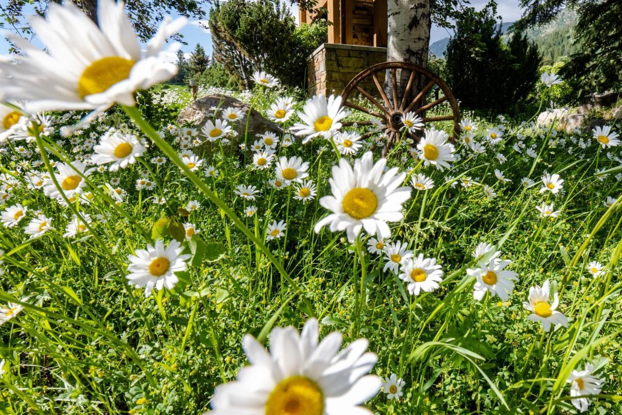 Flying Saddle Resort And Steak House Alpine Exterior foto